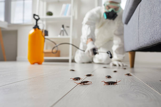 Trusted Fumigation Services service in Little Walnut Village, NM - Nex Pest Control